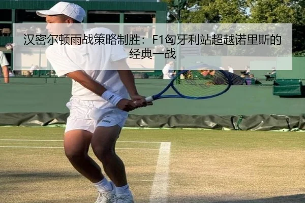 han-mi-er-dun-yu-zhan-ce-lve-zhi-sheng-xiong-ya-li-zhan-chao-yue-nuo-li-si-de-jing-dian-yi-zhan-3-236.jpg